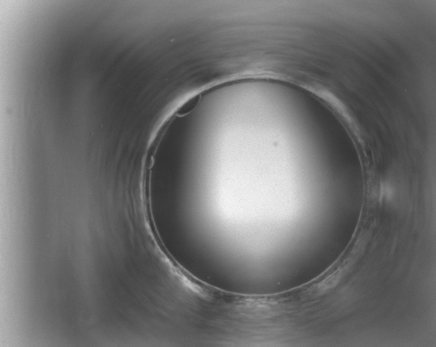 X0000060800910200511171238