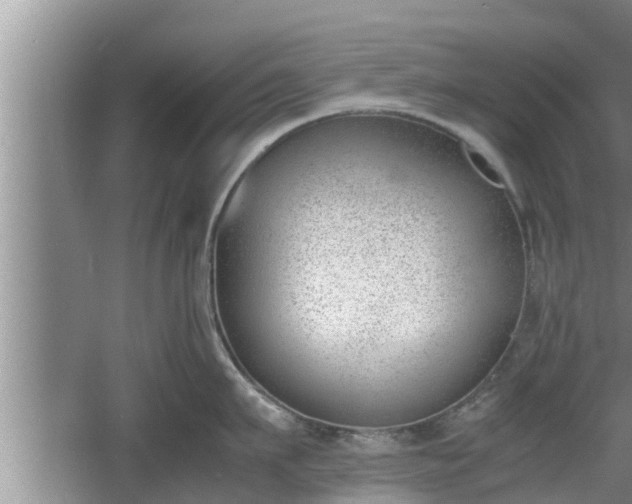 X0000060800911200511171238