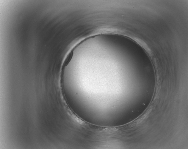 X0000060800912200511171238