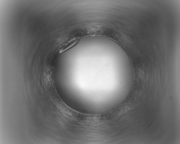 X0000060800914200511171237