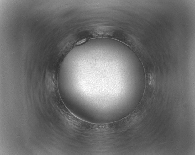 X0000060800915200511171237