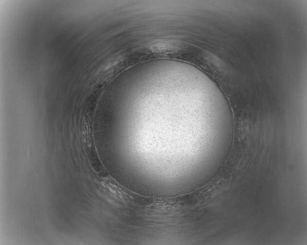 X0000060800917200511171237