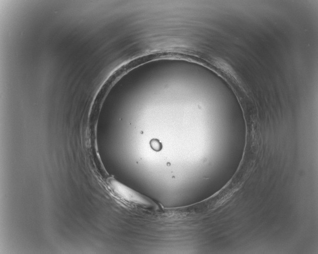 X0000060800924200511171238