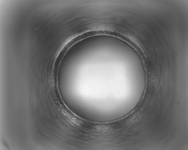 X0000060800927200511171238