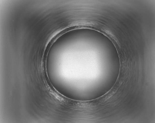 X0000060800928200511171238