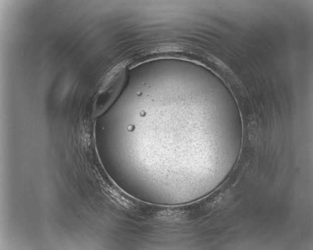 X0000060800929200511171238