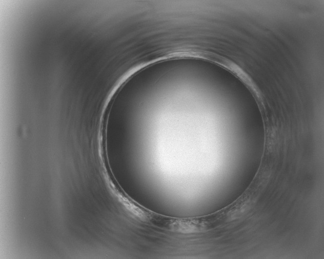 X0000060800955200511171238