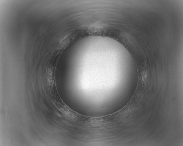 X0000060800964200511171237