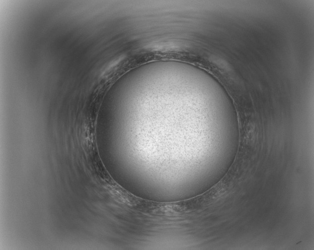 X0000060800966200511171237