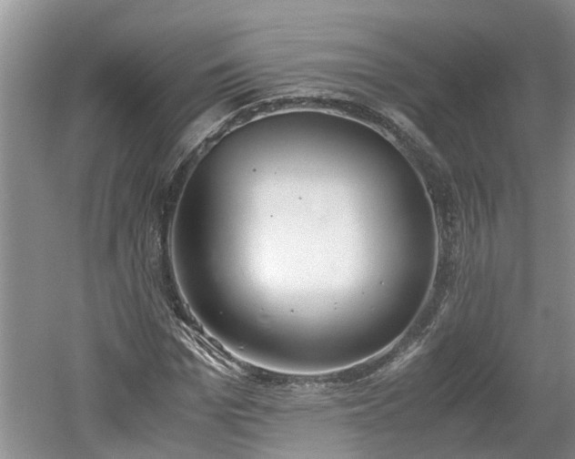 X0000060800969200511171237