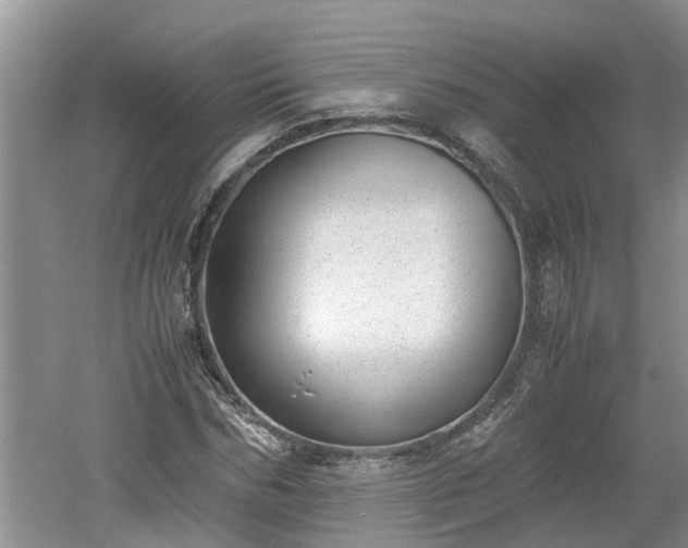 X0000060800970200511171237