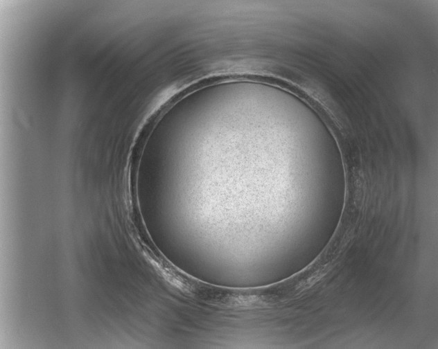 X0000060800982200511171237