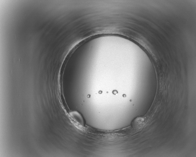 X0000060800988200511171237