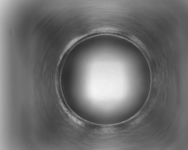 X0000060800989200511171237