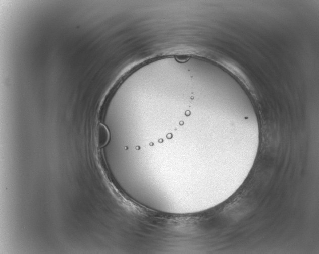 X0000060801000200511171237