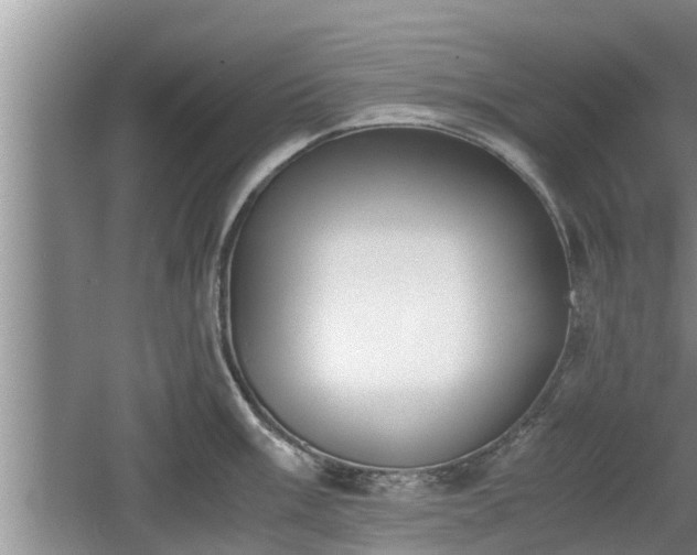 X0000060801003200511171237