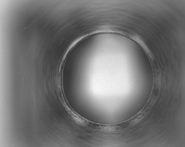 X0000060801004200511171237