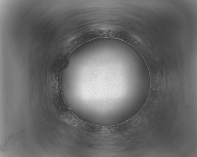 X0000060801013200511171236