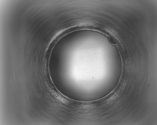 X0000060801021200511171236