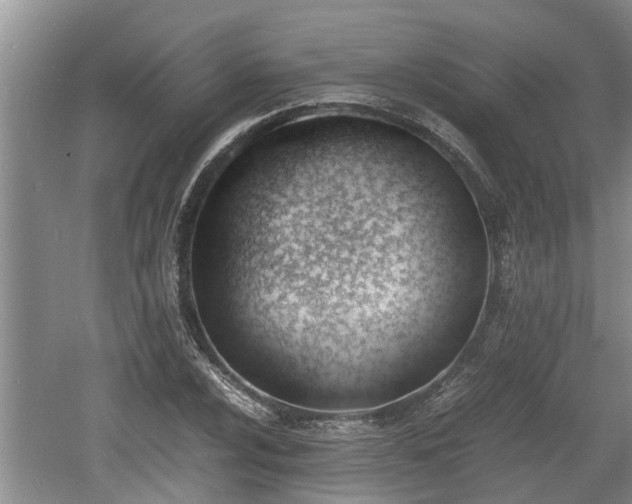 X0000060801024200511171236