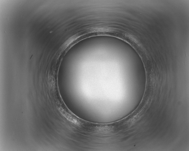 X0000060801025200511171236