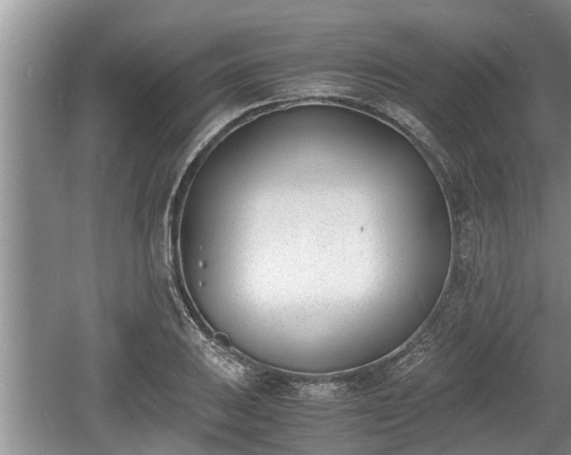 X0000060801031200511171236