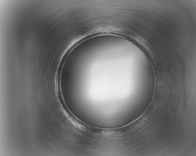 X0000060801032200511171236