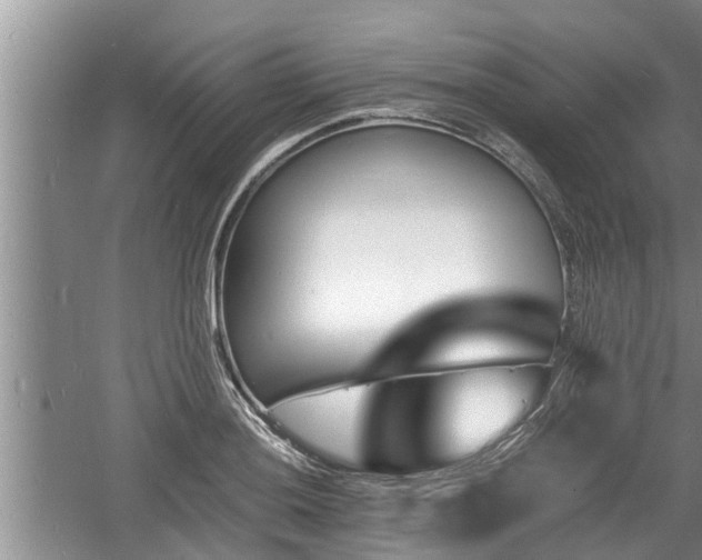 X0000060801036200511171236