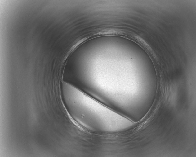 X0000060801041200511171236