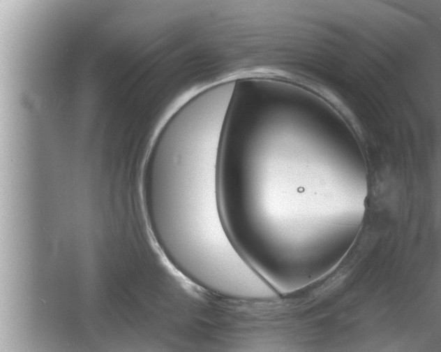 X0000060801054200511171236