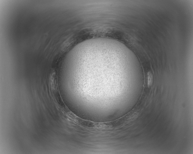 X0000060801059200511171236