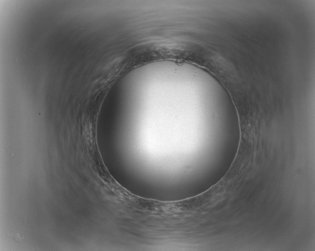 X0000060801061200511171236