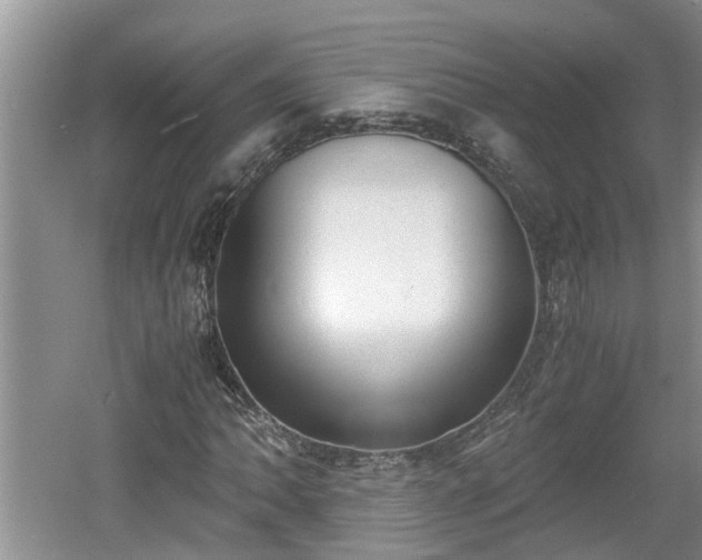 X0000060801062200511171236