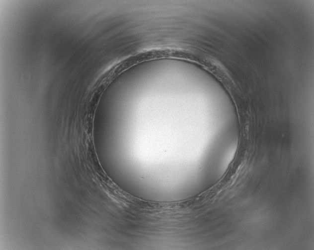 X0000060801064200511171236