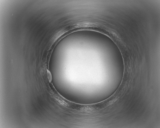 X0000060801073200511171235