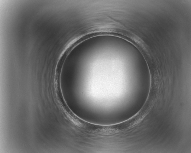 X0000060801077200511171235