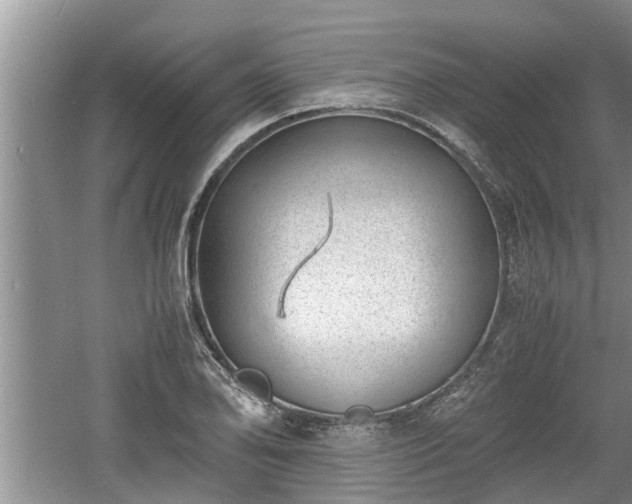 X0000060801078200511171235