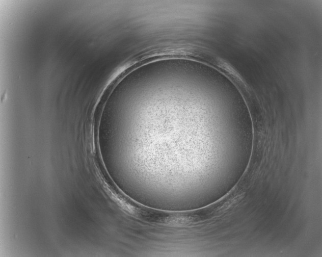 X0000060801079200511171235