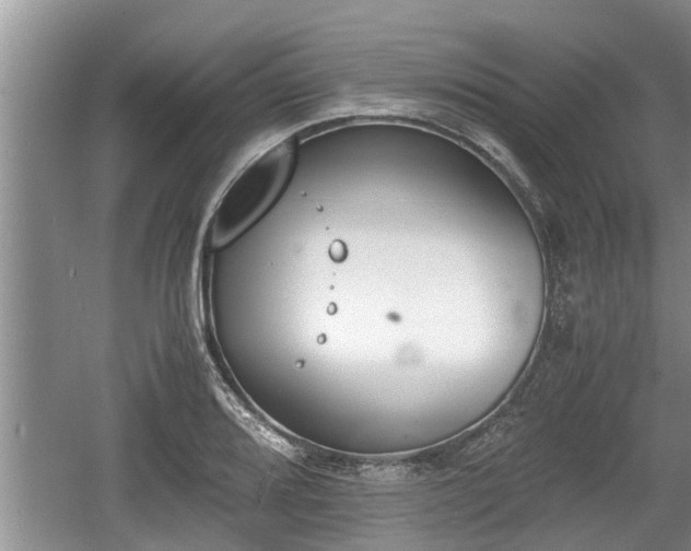 X0000060801080200511171235