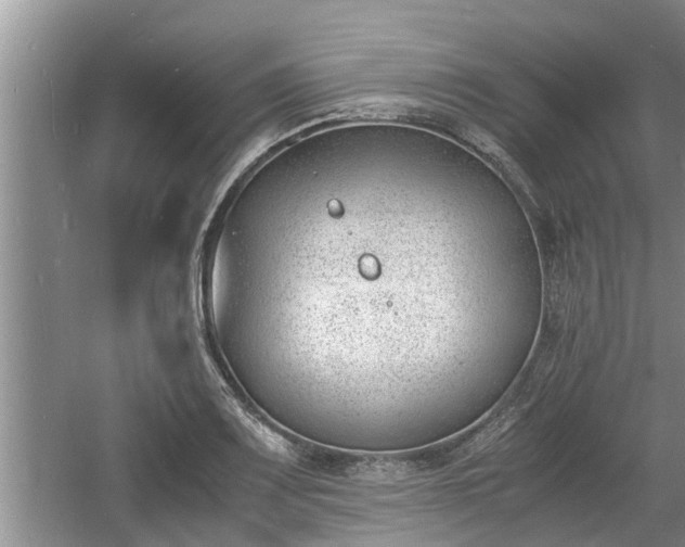 X0000060801083200511171235