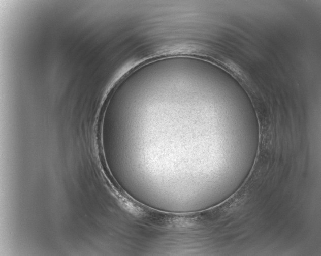 X0000060801086200511171235