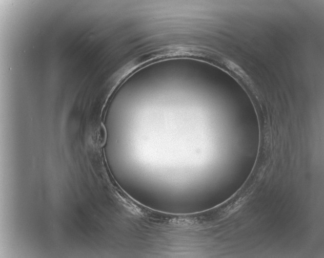 X0000060801089200511171235