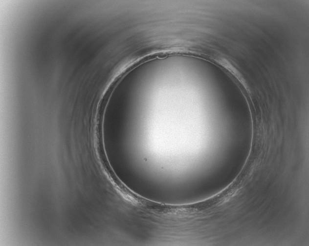 X0000060801093200511171235