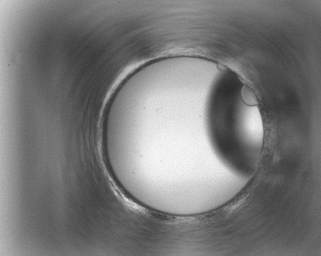 X0000060801094200511171235