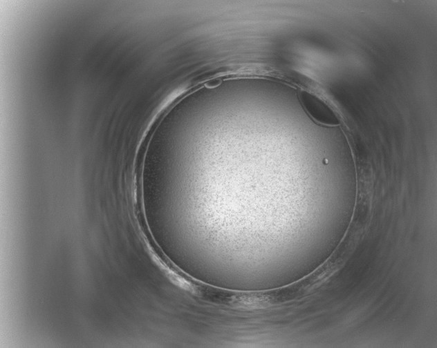 X0000060801095200511171235