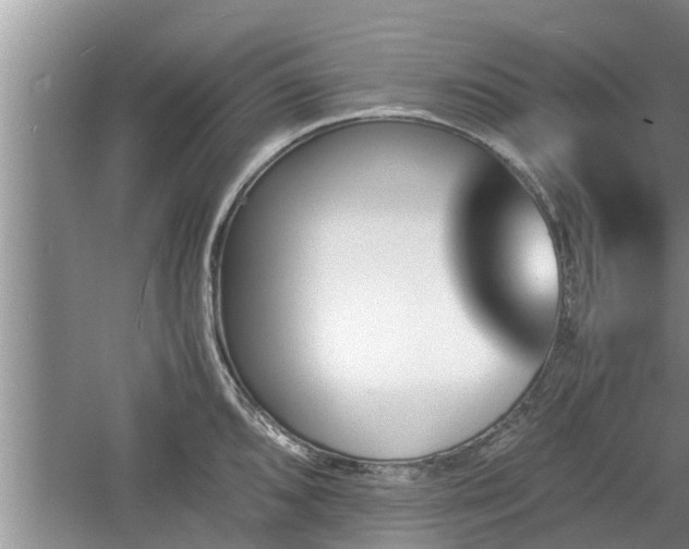 X0000060801096200511171235