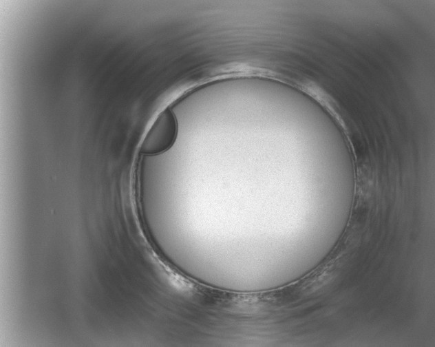 X0000060801098200511171235