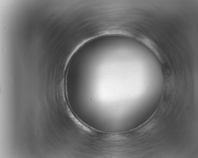 X0000060801100200511171235