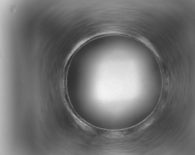 X0000060801101200511171235