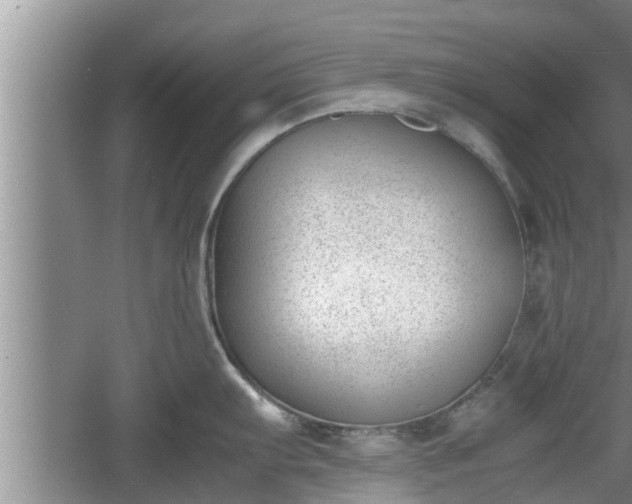 X0000060801103200511171235